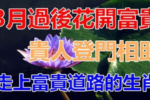 3月過後花開富貴，財運逆襲，貴人登門相助，走上富貴道路的生肖