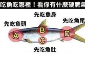 心理測驗：從你吃魚的部位，看出你有什麼「硬脾氣」？