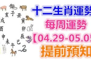 十二生肖運勢：每周運勢【04.29-05.05】提前預知！