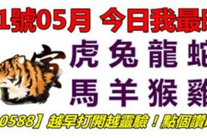 11號05月，今日我最旺！虎兔龍蛇馬羊猴雞！【10588】越早打開越靈驗！點個讚吧！