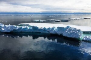 格陵蘭20億噸冰雪「1天內全消失」　大融冰情況讓氣候學家很擔憂