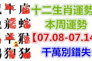 十二生肖運勢：本周運勢【07.08-07.14】千萬別錯失！