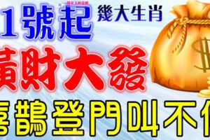 7月31號開始橫財大發，喜鵲登門叫不停的生肖