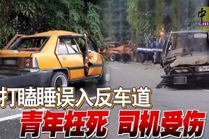 打瞌睡誤入反車道青年枉死司機受傷