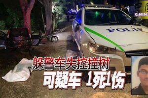 躲警車雙方展開追逐，可疑車失控撞樹1死1傷！