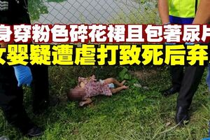 9個月大女嬰疑慘遭虐打致死　棄屍蓄水池旁草叢