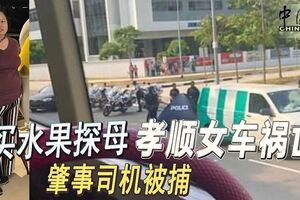 買水果探母孝順女車禍亡肇事司機被捕