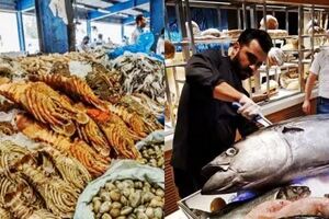 杜拜土豪們逛的菜市場：鯊魚擺地攤，滿地都是帝王蟹大龍蝦！