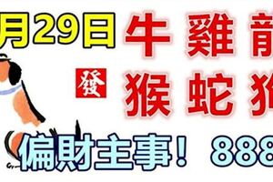 8月29日生肖運勢_牛、雞、龍大吉!!