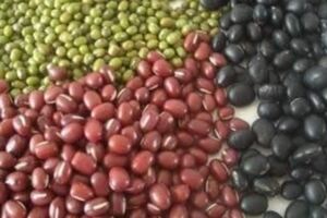身體缺鉀吃什麼？每天把黑豆、紅豆、綠豆做成粥，滿足機體需求