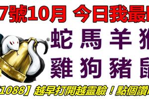 07號10月，今日我最旺！蛇馬羊猴雞狗豬鼠！【71088】越早打開越靈驗！點個讚吧！