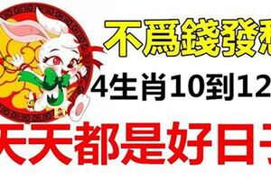 不為錢發愁！財神爺悄悄幫4生肖解決燃眉之急，10到12月天天都是好日子