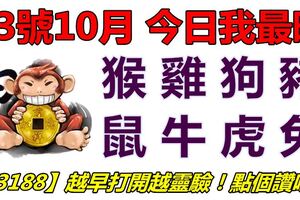 23號01月，今日我最旺！猴雞狗豬鼠牛虎兔！【23188】越早打開越靈驗！點個讚吧！