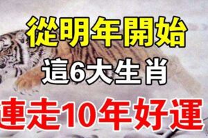 天生命運不凡！從明年開始，連走10年好運的6大生肖