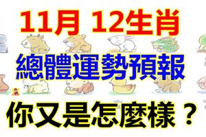 11月，12生肖總體運勢預報~你又是怎麼樣？