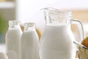 每天把牛奶當水喝，身體會更好嗎？蛋白質攝入過量，反而有壞處