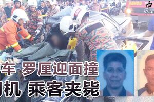 轎車羅釐迎面撞司機乘客夾斃