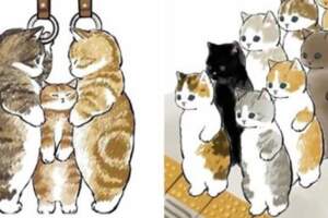 如果貓咪也要上班～　插畫家「擠地鐵的貓」玻璃拍滿肉球反而好療癒❤