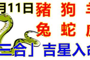 6月11日生肖運勢_豬、狗、羊大吉