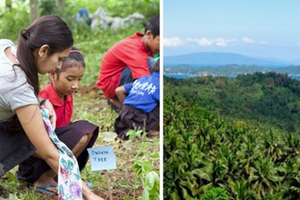 讓年輕人動手救地球！菲律賓立法「要畢業先種10棵樹」　預估將「多種出5億棵新樹 」全球狂讚