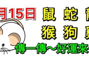 7月15日生肖運勢_鼠、蛇、龍大吉