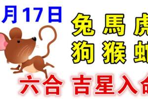 7月17日生肖運勢兔、馬、虎大吉