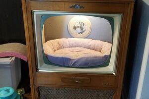 動手玩創意！爸用舊型電視「做貓床」　成品融化五十萬人