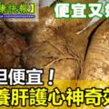 它是「千年人參」養肝護心效果好，關鍵還便宜！男人女人都能吃！