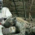 黑人將鬣狗當做寵物養，但為了防止被掏肛，嘴上戴它~!
