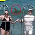 他們為了防止被鯊魚咬死，竟然帶著自製的籠子下水！
