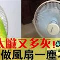 電風扇髒又多灰怎麼清洗？別急著收納，教你一招，風扇一塵不染