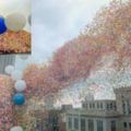 150萬顆氣球升空超壯觀！但接下來發生的「悲劇」…卻讓參與者「一輩子內疚」！