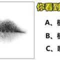 【測驗】你第一眼看到了什麼？測出你的性格！