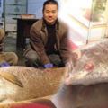 貧困大叔捕魚時竟發現「浮屍」，靠近一看原來是一隻「百斤大魚」，把牠拖回家後竟然就「一夜暴富」了…