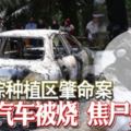 油棕種植區肇命案汽車被燒焦屍坐斃