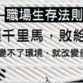 職場生存法則：別讓千裡馬敗給了驢！你改變不了環境，就改變自己！