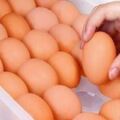 雞蛋買回家別直接放冰箱另外！分享一個小竅門，雞蛋放再久都不會壞哦！
