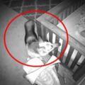 監視器拍到「狗姊姊在半夜2點溜進寶寶房」，接下來的畫面證明爸媽沒有把狗狗送走是正確的決定！