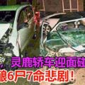 勞勿奪命車禍！邁薇，靈鹿轎車迎面碰撞，釀6屍7命悲劇！