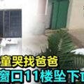 6歲女童哭找爸爸爬上窗口11樓墜下亡