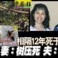 相隔12年死於非命妻：樹壓死夫：蜂蜇死