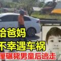 送餐給爸媽，男童不幸遇車禍，肇禍羅釐碾斃男童後逃走