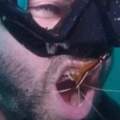 潛水員每周「找蝦子洗牙」2次　拔呼吸器自動游嘴裡：牙齒超健康