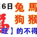 11月6日生肖運勢_兔、馬、虎大吉