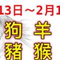 12生肖一周（2.13~2.19）