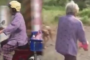 高齡86歲的阿嬤天天騎著載滿飼料的摩托車趴趴走 結果進一步了解才知道奶奶真的好有愛心...感動！