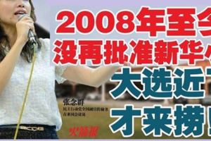 2008年至今沒再批准新華小大選近了才來撈！