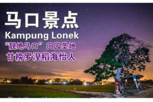 「靚絕馬口」田園聖地．甘榜羅涅稻海怡人