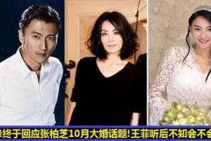 謝霆鋒終於回應張柏芝與男友即將大婚話題！沒想到他竟然這麼說！王菲聽到後不知道會不會吃醋？