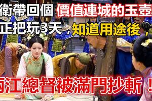 李衛帶回個「價值連城」的玉壺，雍正把玩3天，知道用途後，兩江總督被滿門抄斬！！